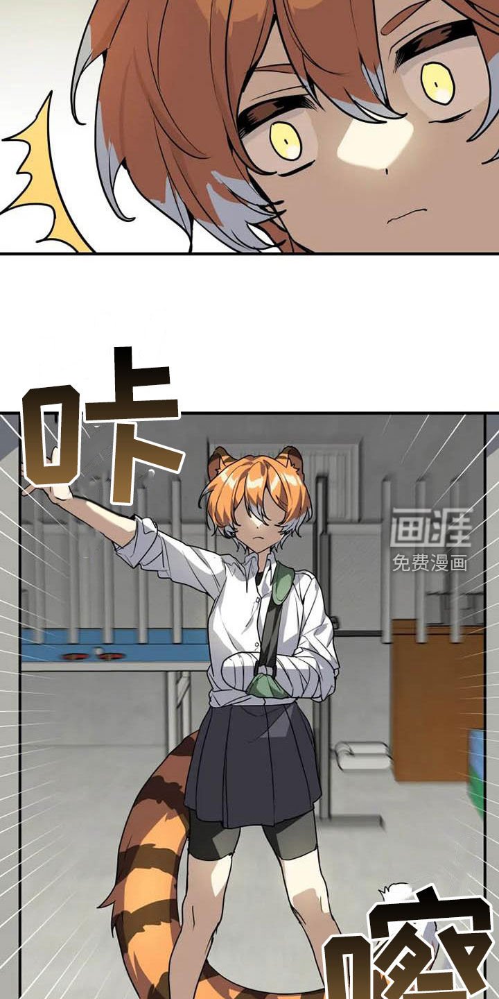 第23章：态度转变