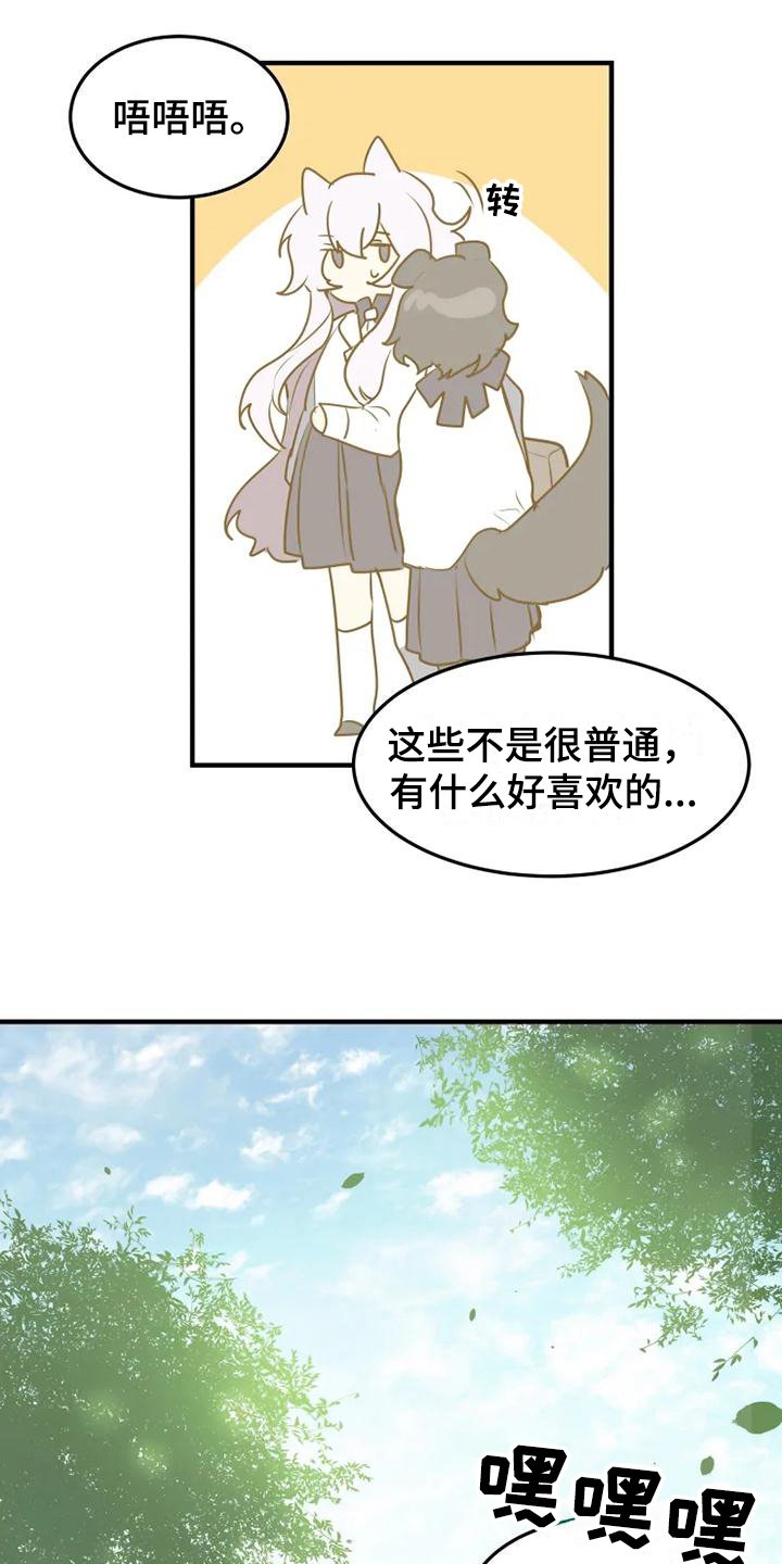 第3章：直白
