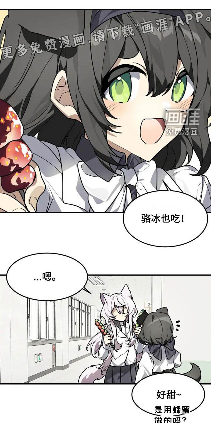 第31章：冰糖葫芦