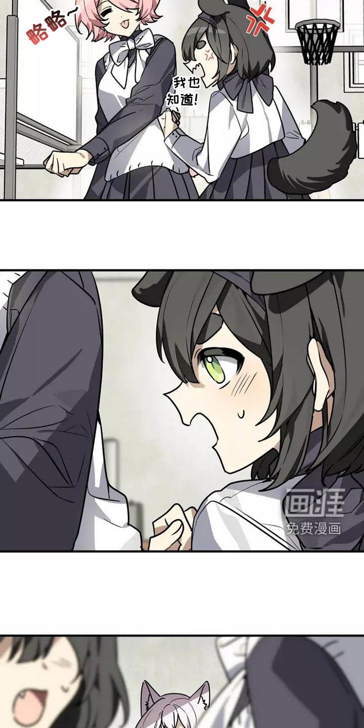 第34章：传达