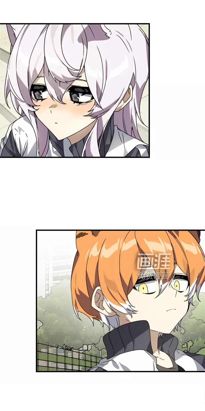 第38章：庆典