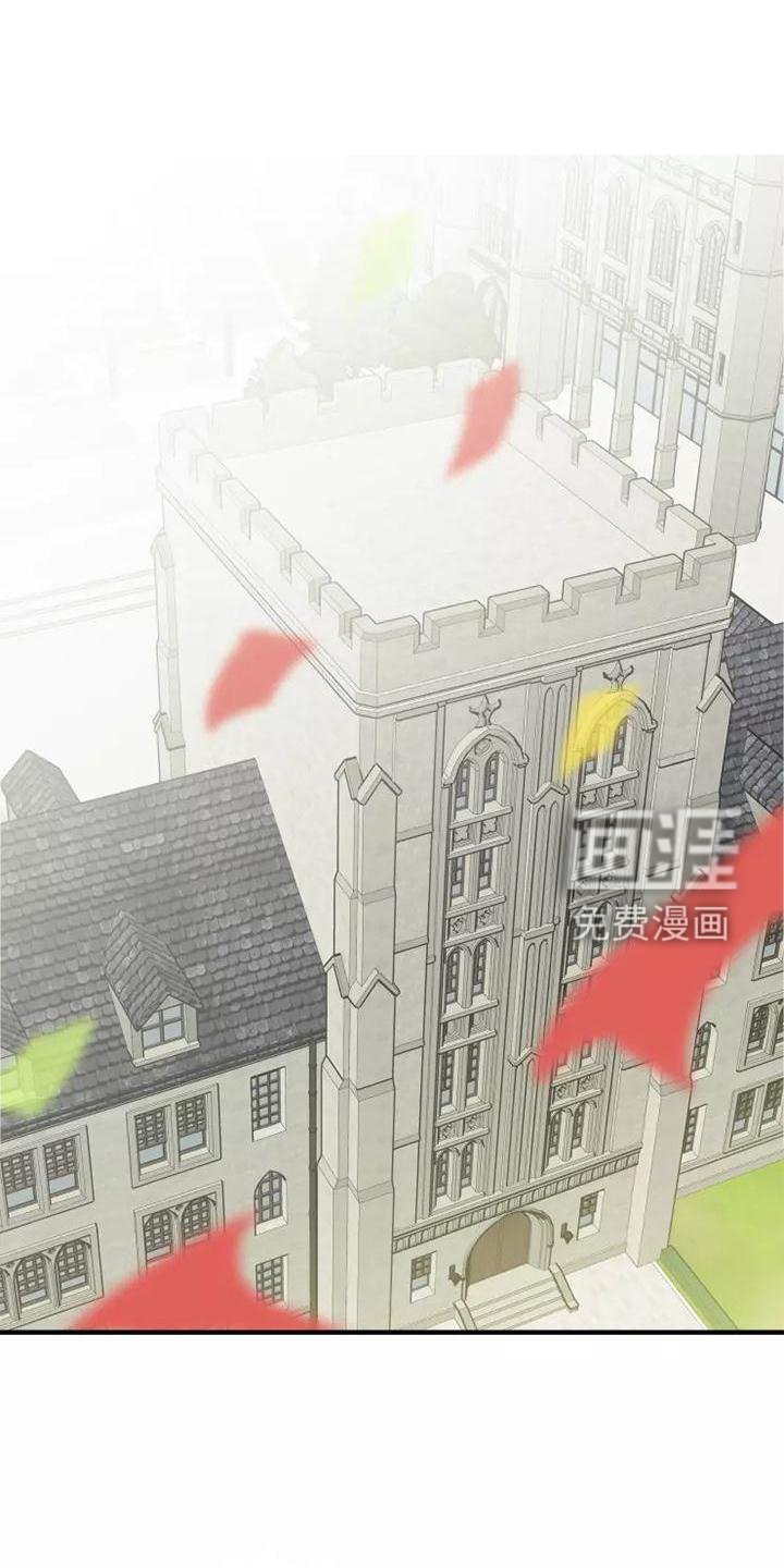 第47章：旁观