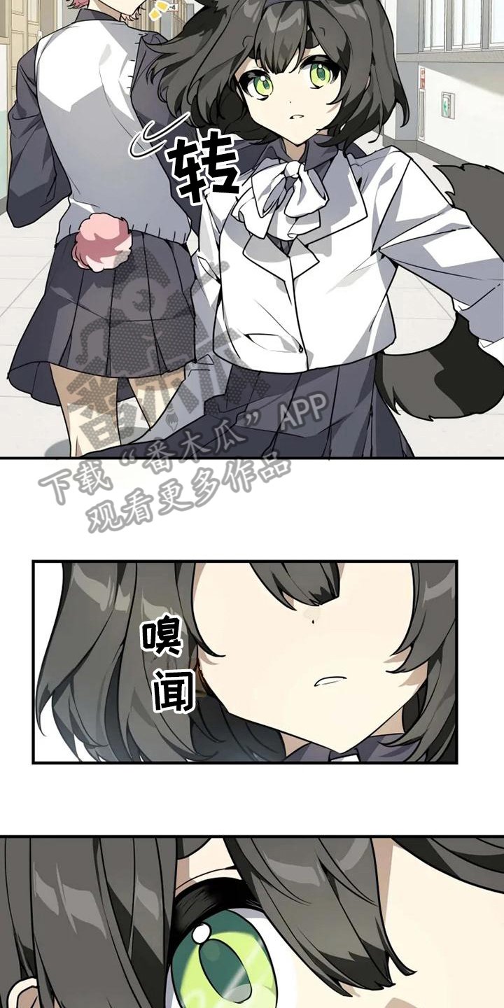 第5章：认错