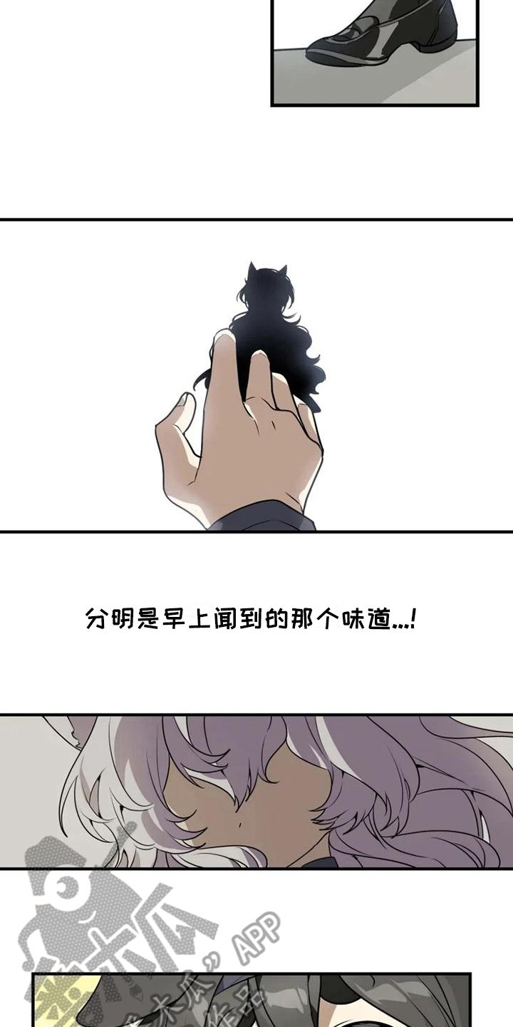 第5章：认错