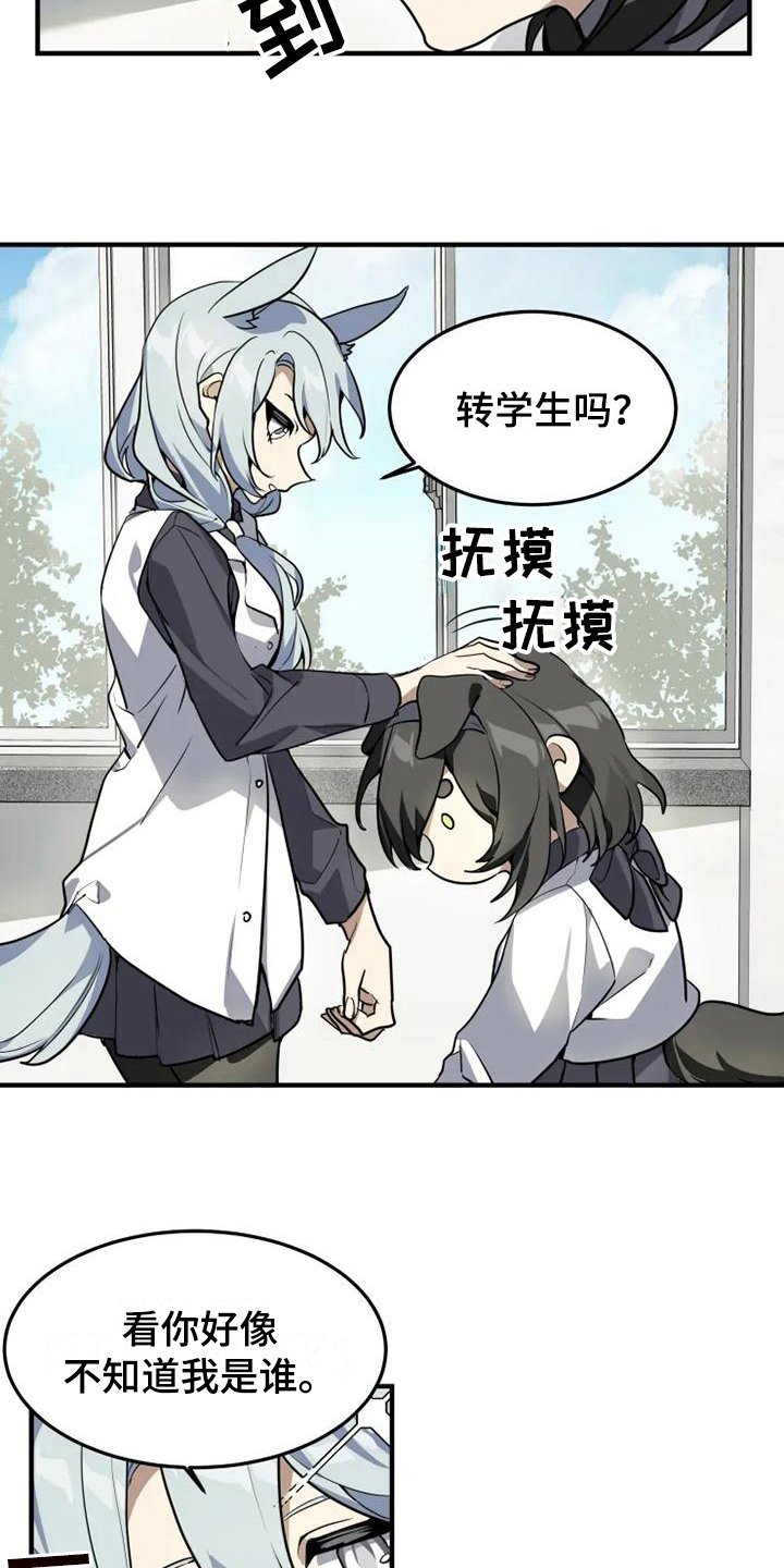 第6章：带路