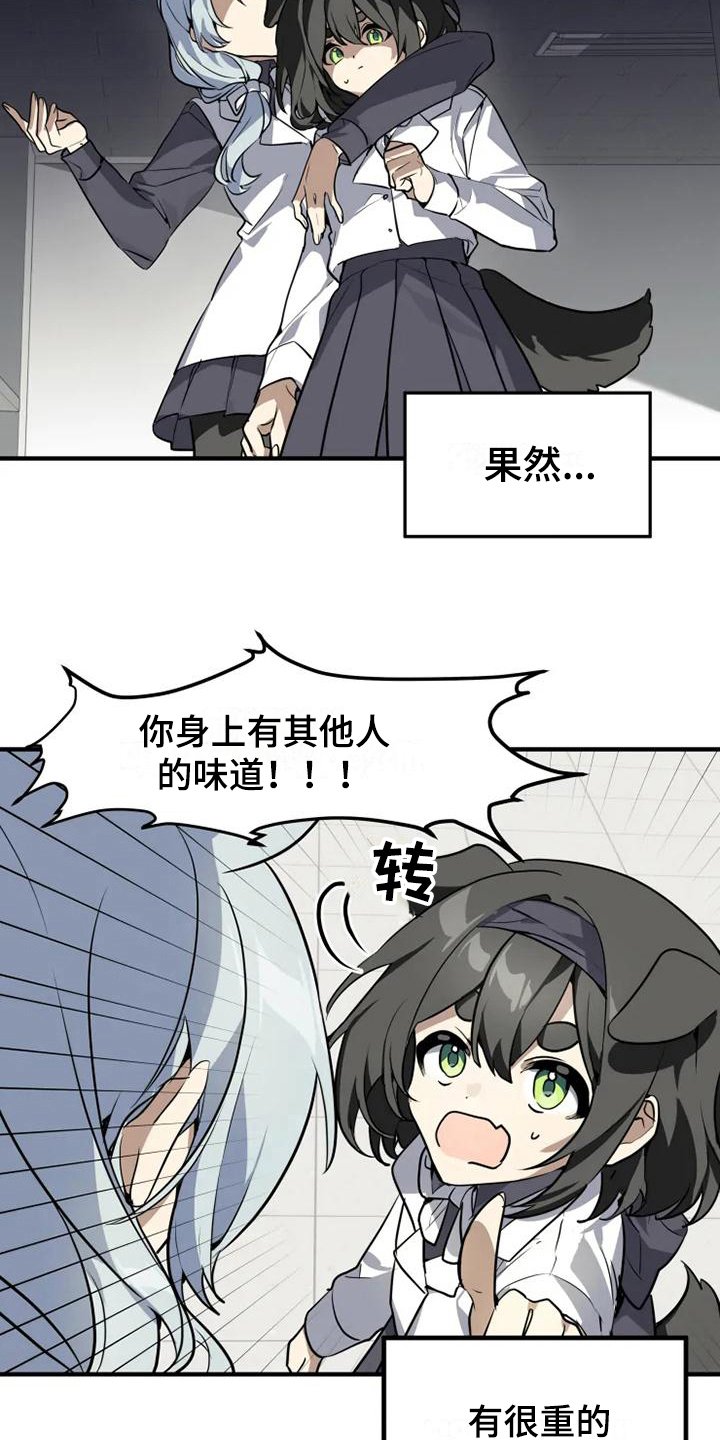 第6章：带路