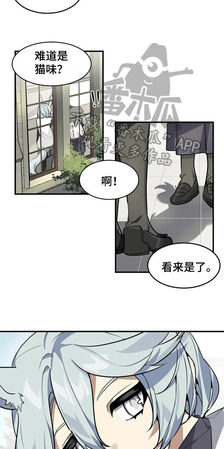 第6章：带路