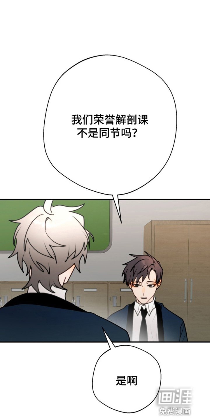 第3章：胡说八道
