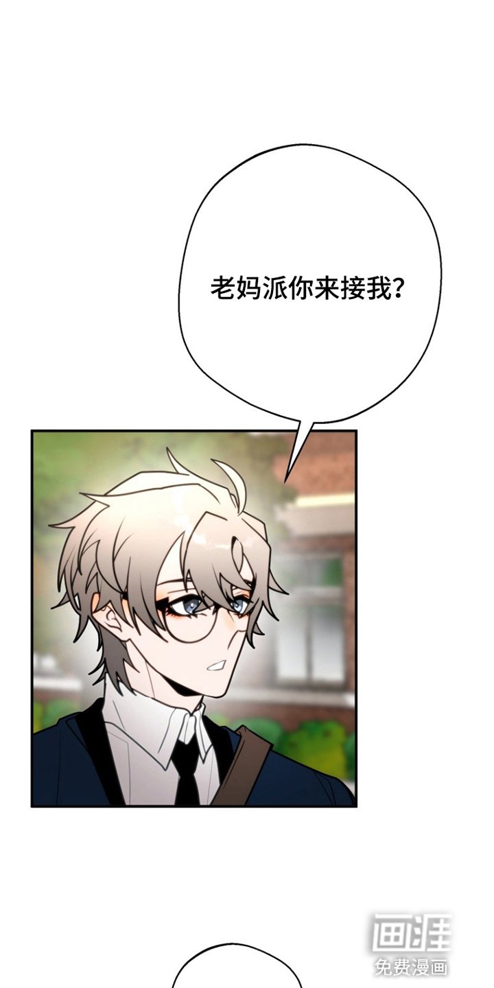第6章：有机会的话