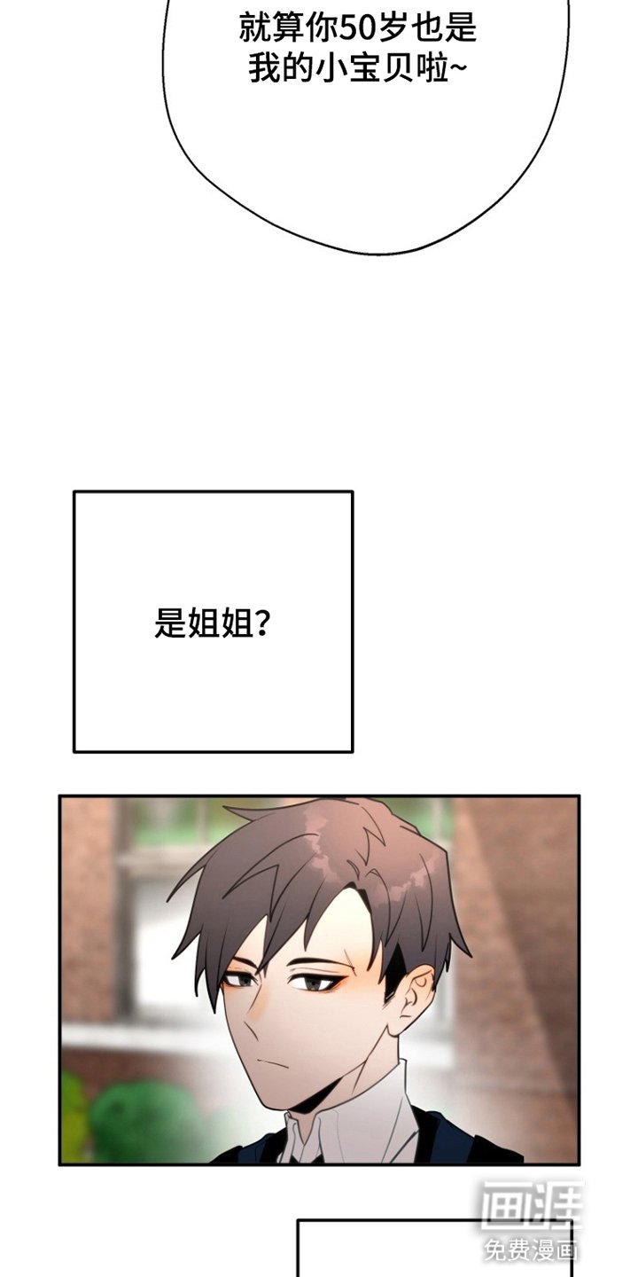 第6章：有机会的话