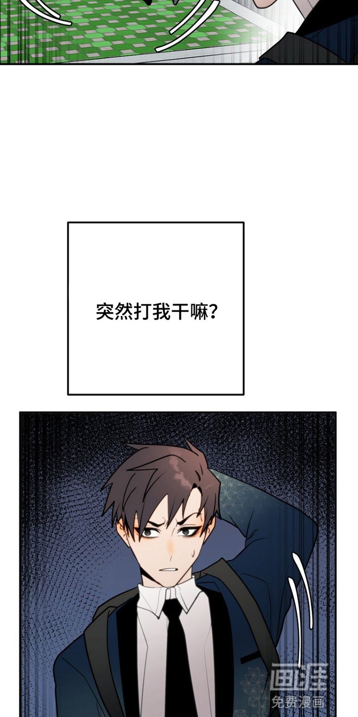 第6章：有机会的话