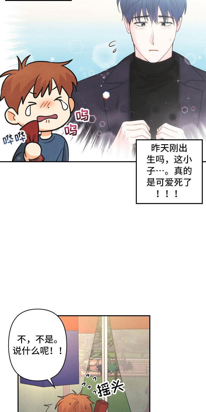 第12章：回电
