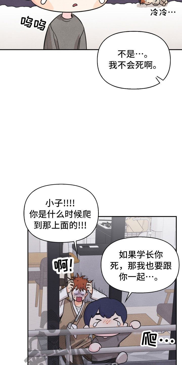 第17章：进化