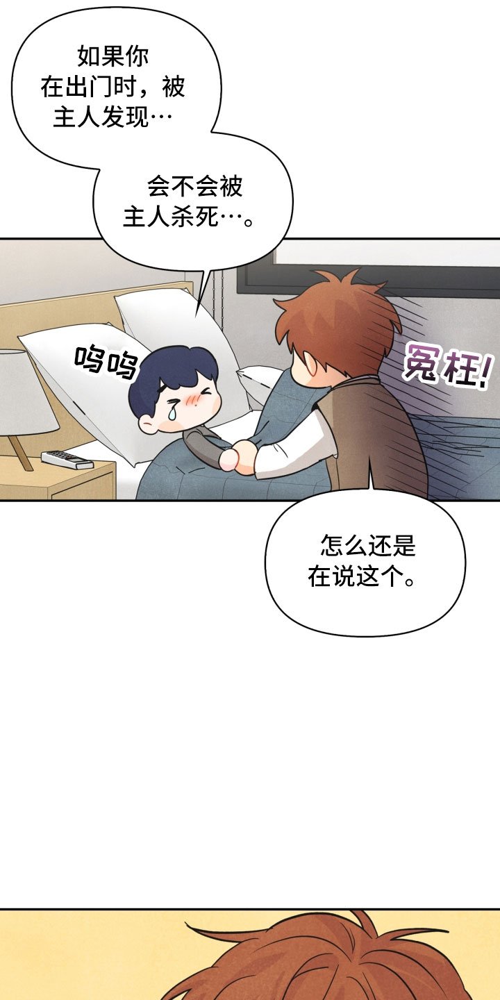 第17章：进化