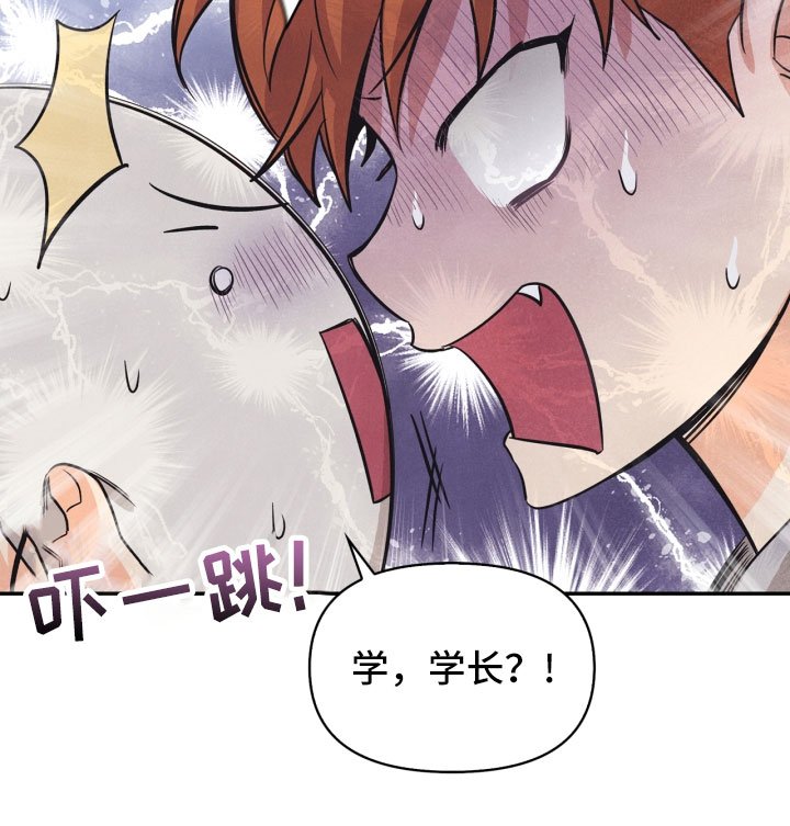 第22章：行李箱