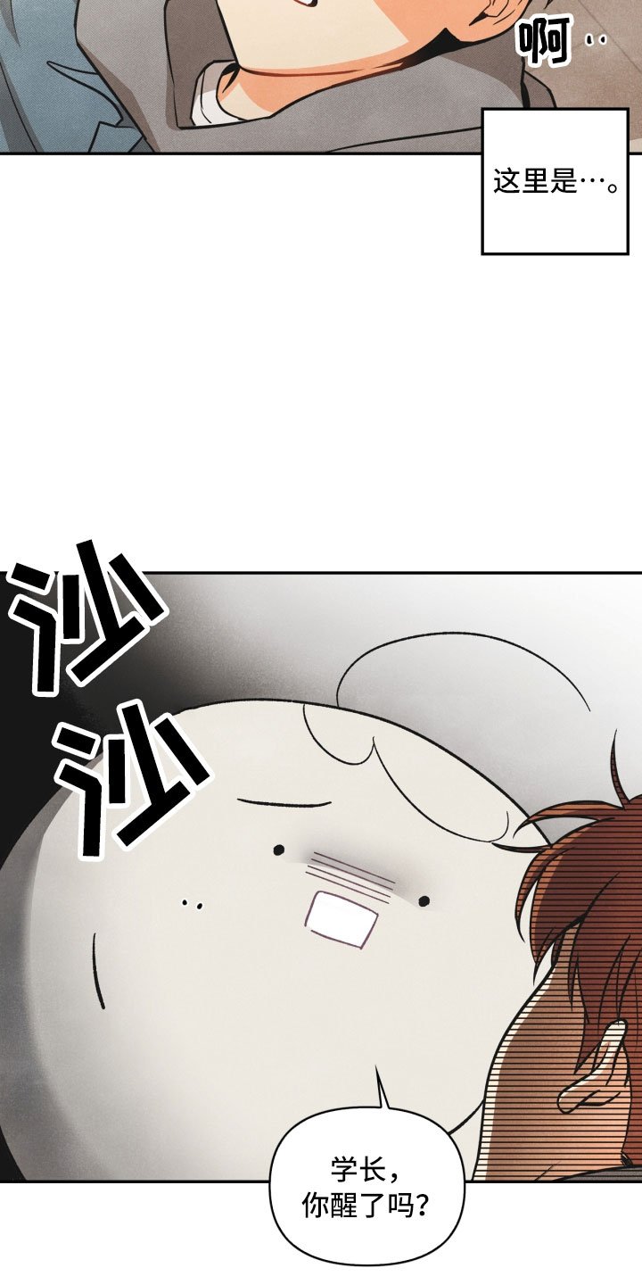 第3章：奇怪的布偶