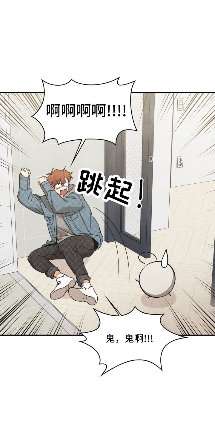 第3章：奇怪的布偶