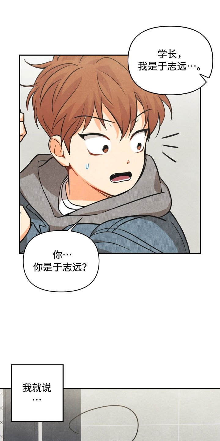 第3章：奇怪的布偶