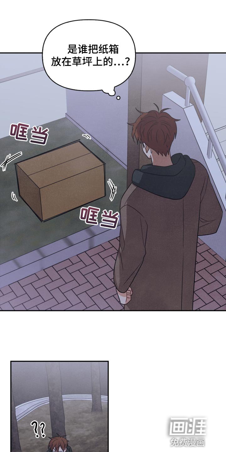 第53章：傻瓜