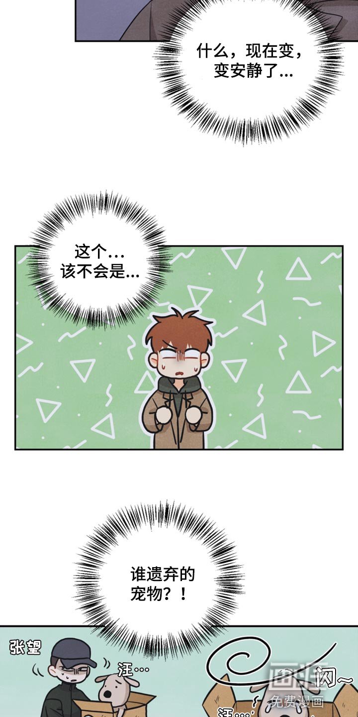 第53章：傻瓜
