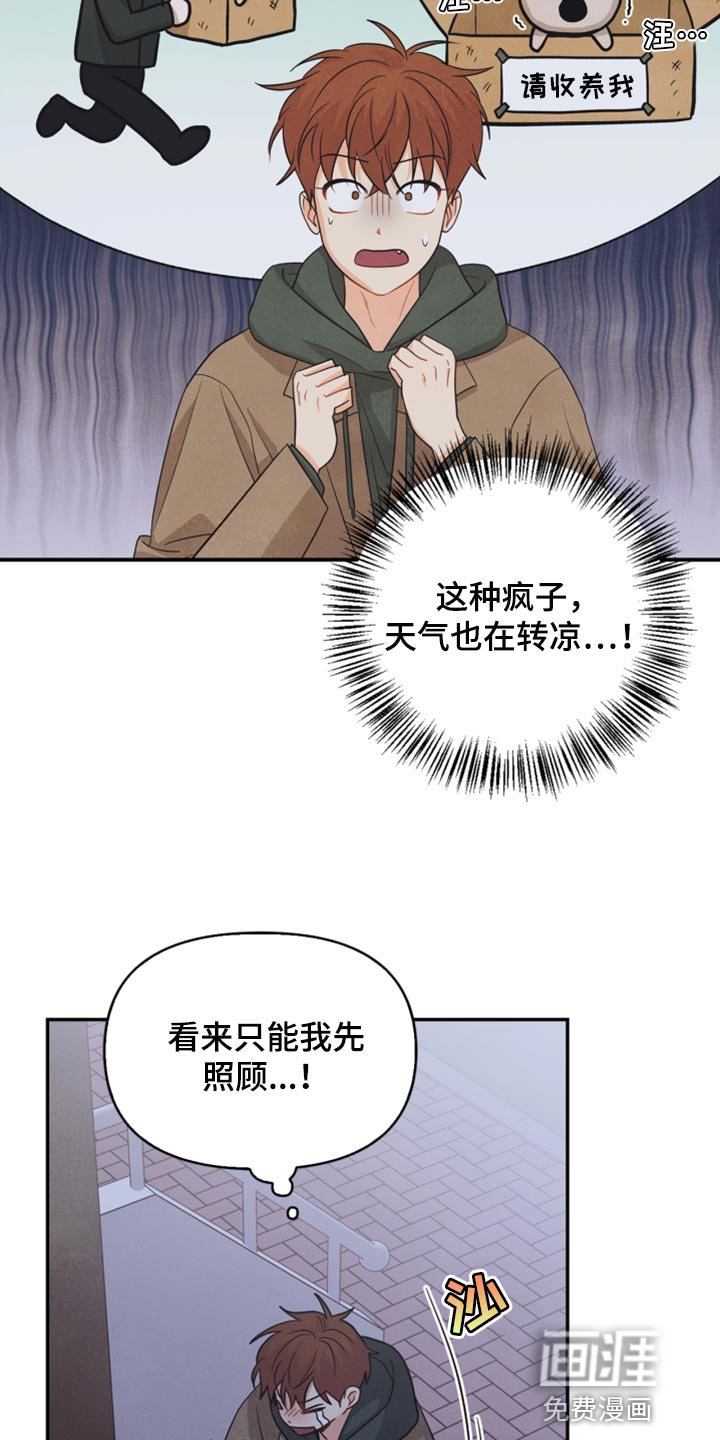 第53章：傻瓜