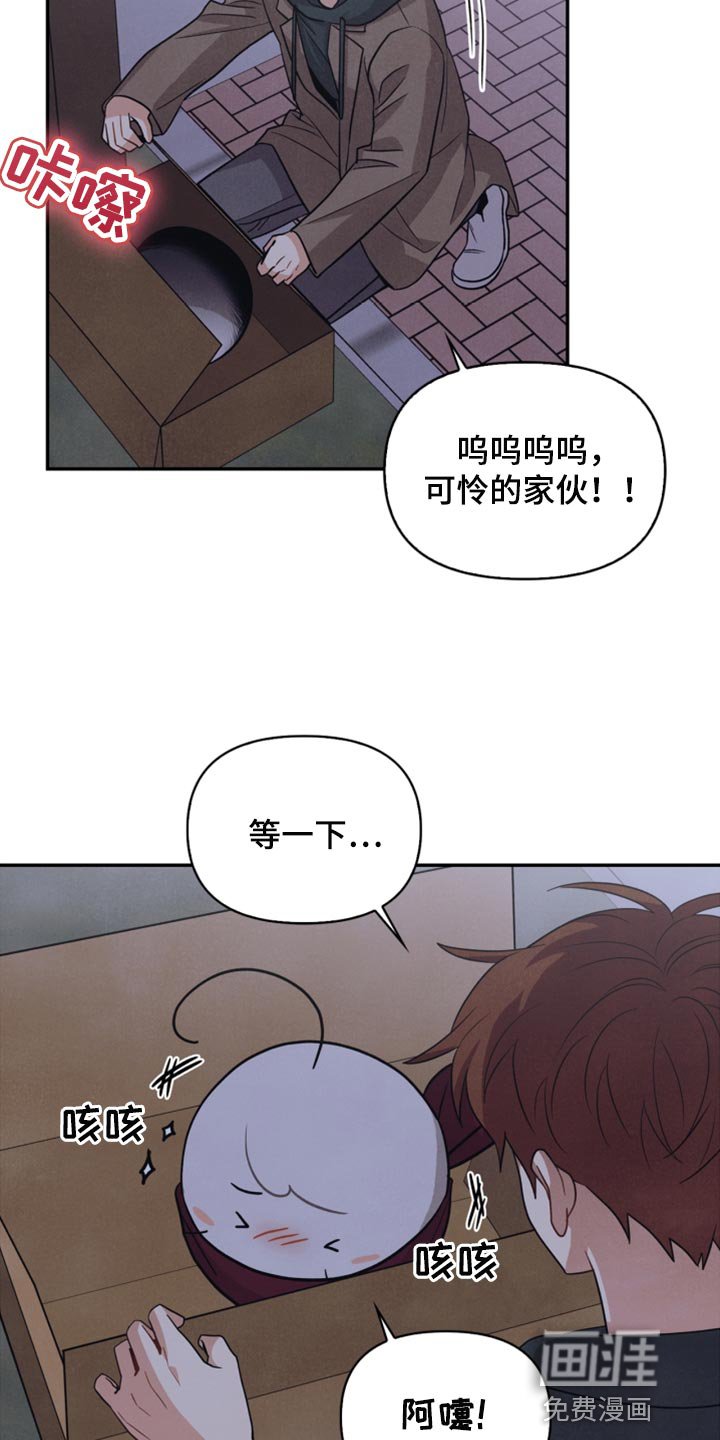 第53章：傻瓜