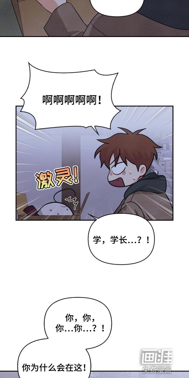 第53章：傻瓜