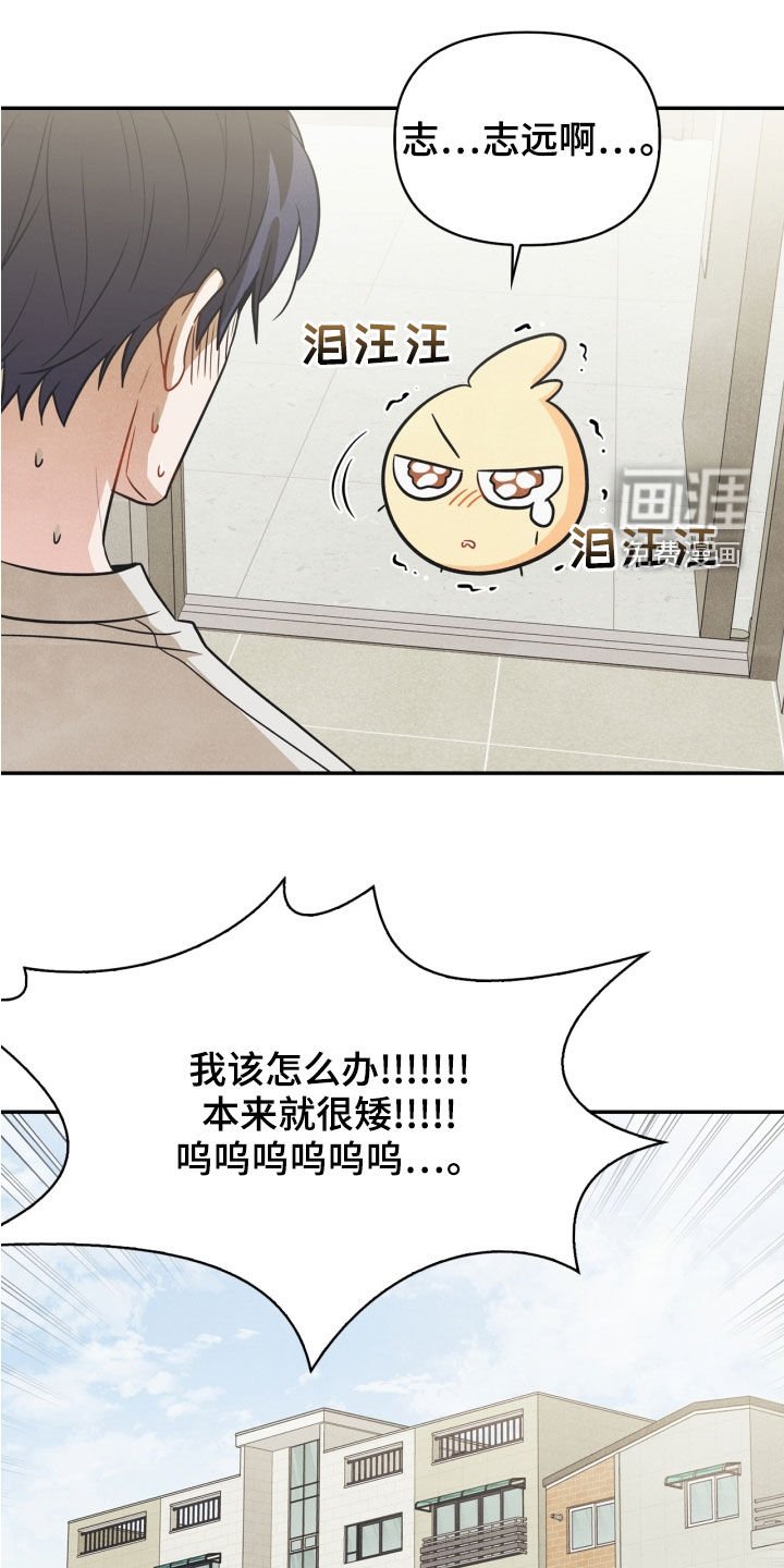 第70章：【番外】出门变玩偶