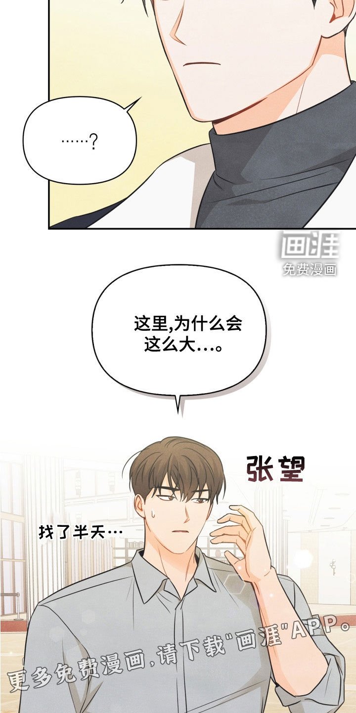 第80章：【番外】交往的关系