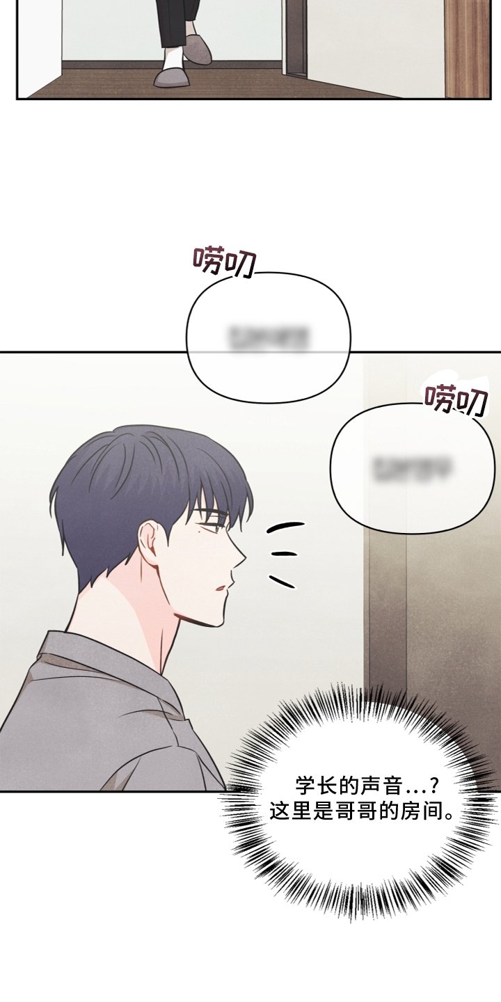 第95章：【番外】哥哥