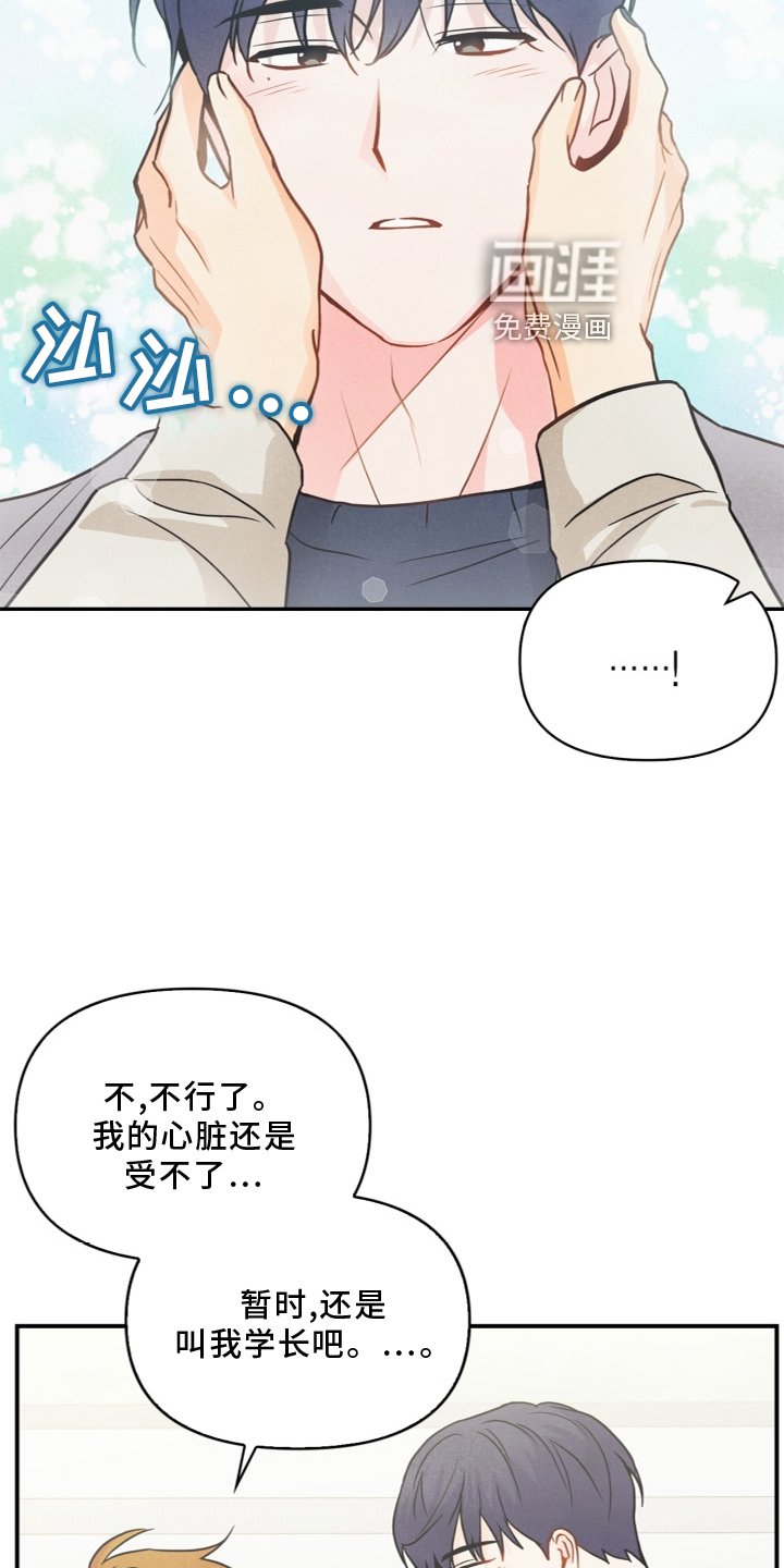 第96章：【番外】幸福