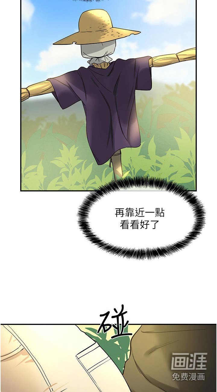 第28章：逛逛
