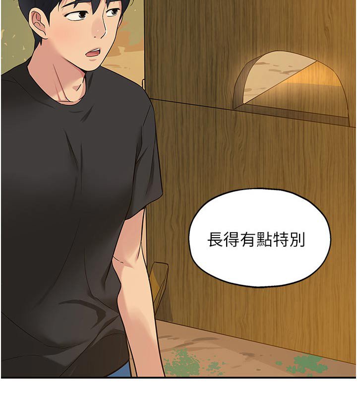 第29章：特色之一