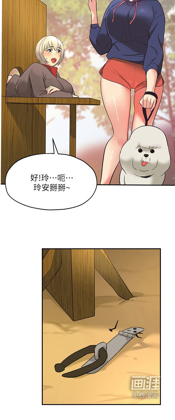 第31章：散步