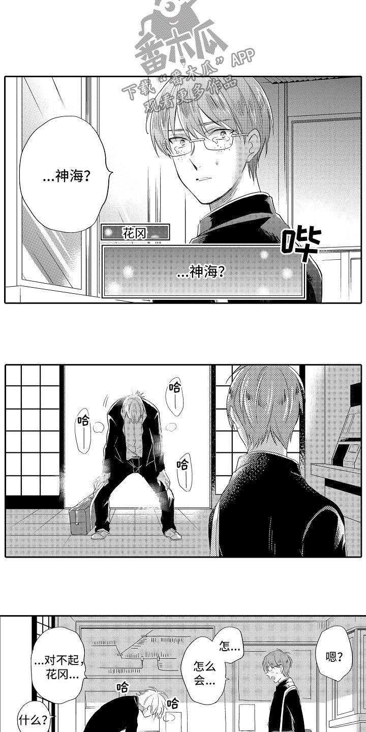 第9章：解释
