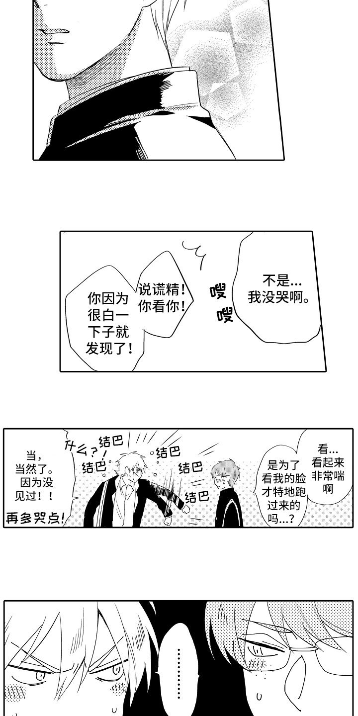 第9章：解释