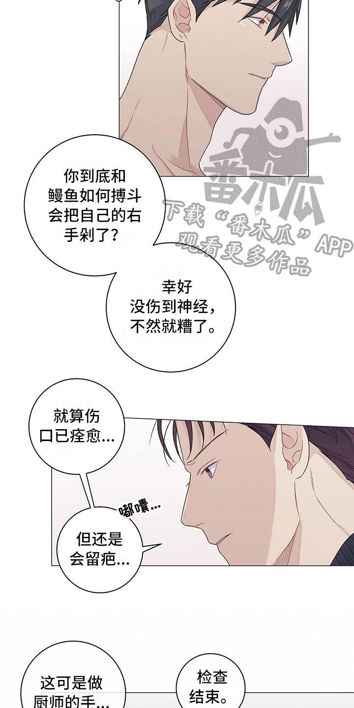 第19章：伤疤