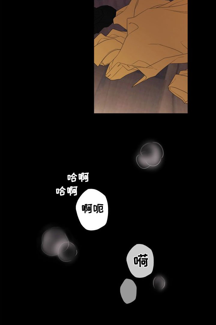 第1章：酒后失误