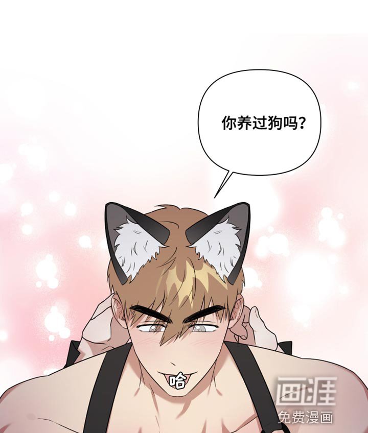 第9章：现在跟我一起玩吧