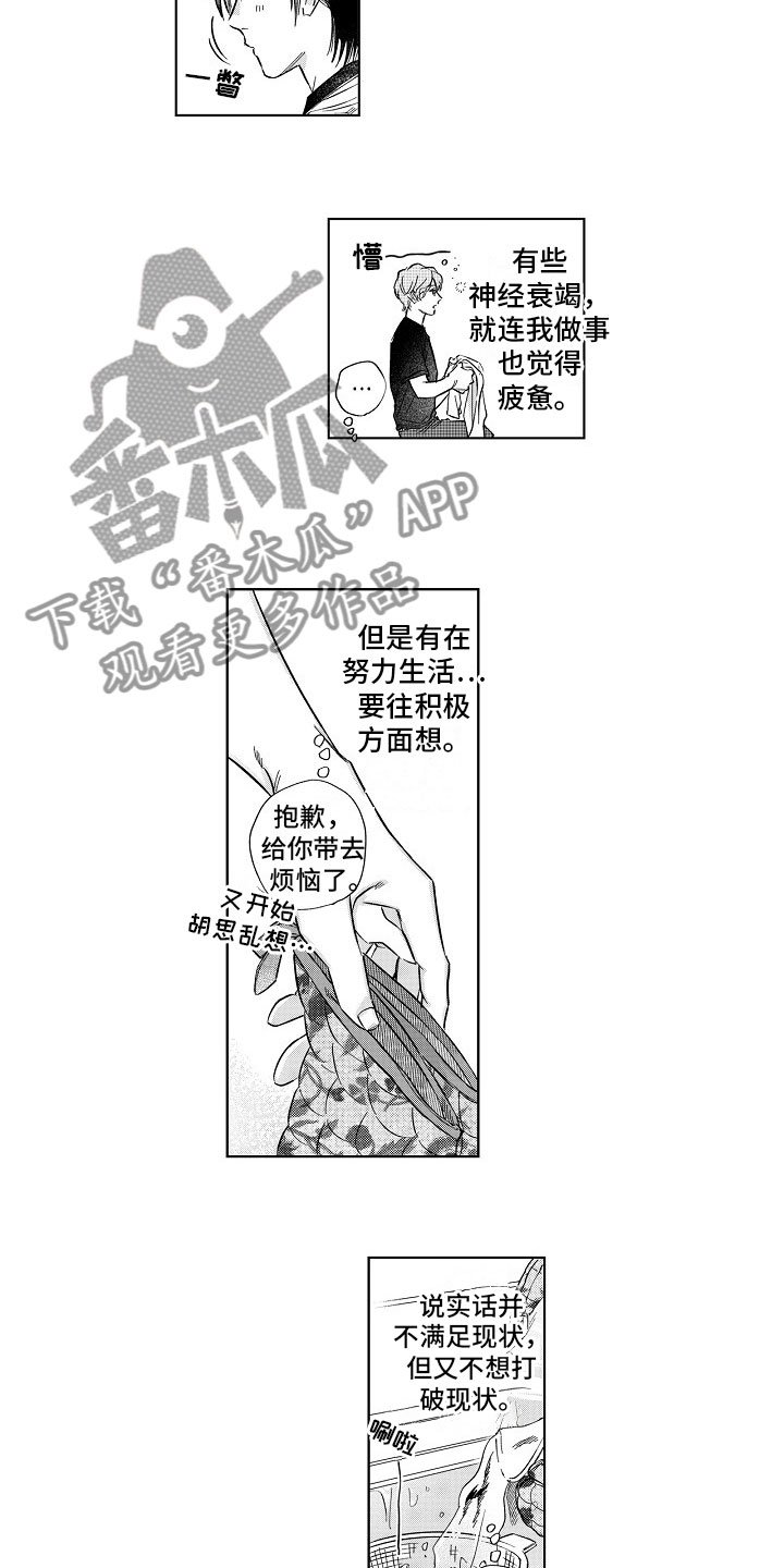 第17章：混乱