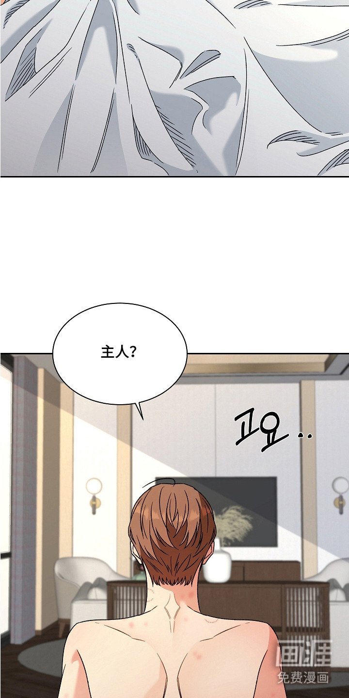 第11章：支票