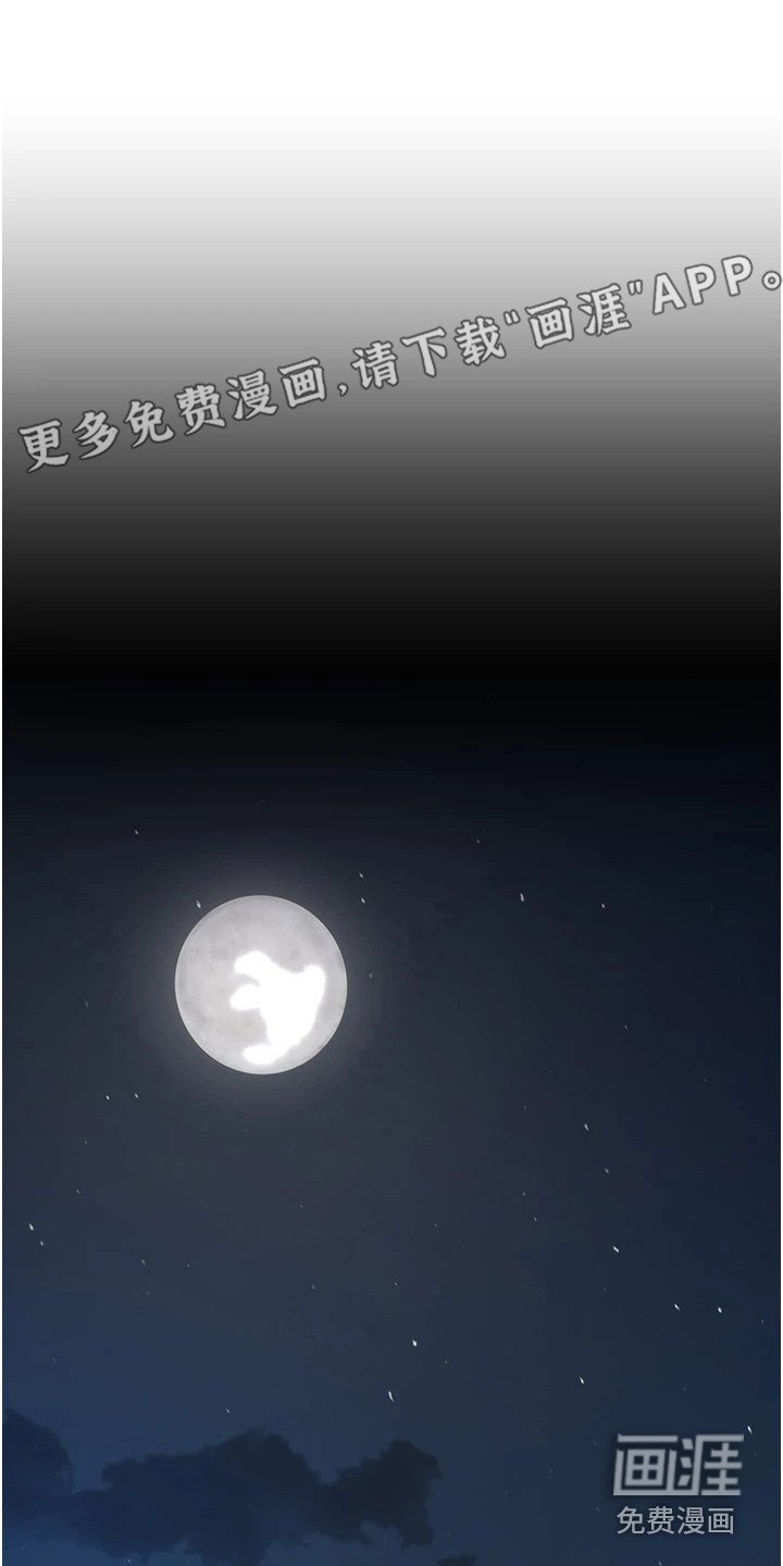 第17章：停车