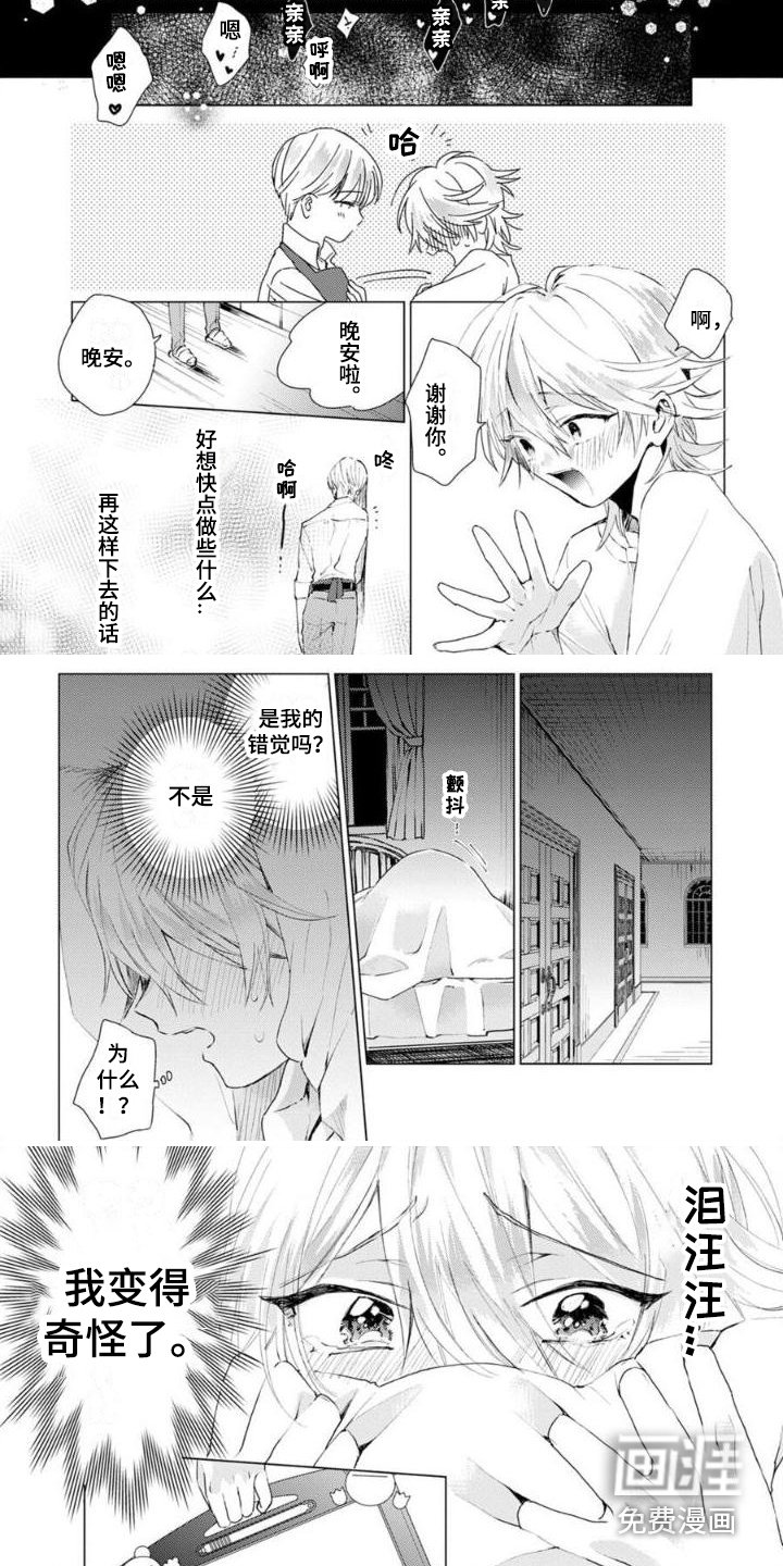 第6章：想念