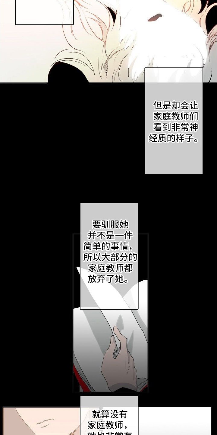 第1章：大小姐
