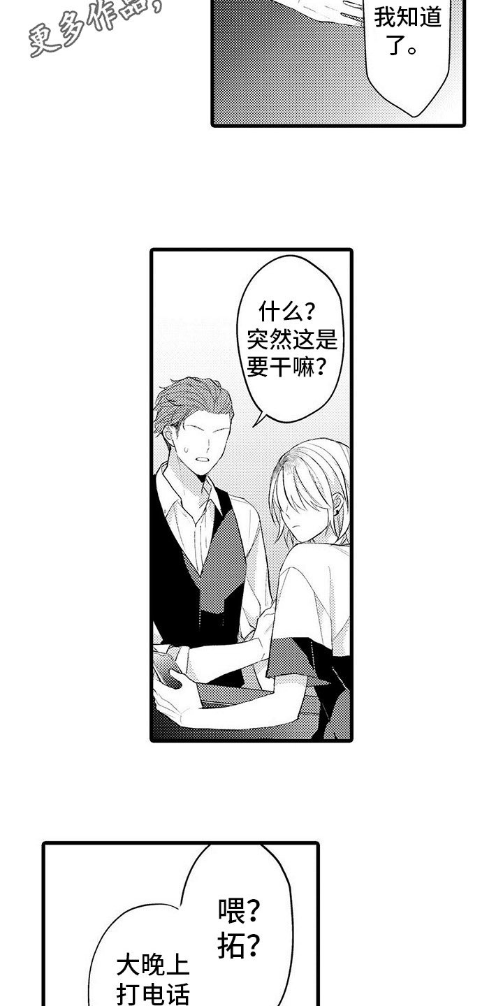 第15章：咨询