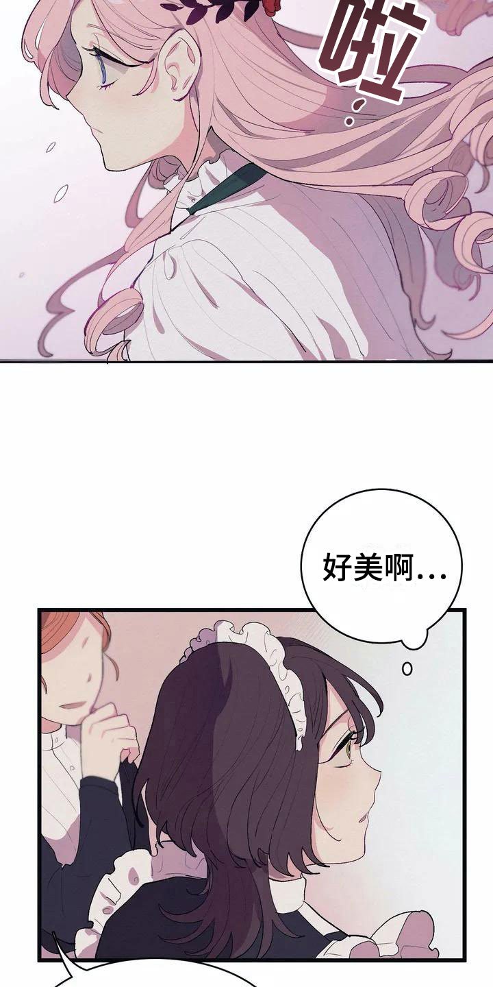 第1章：高级食材