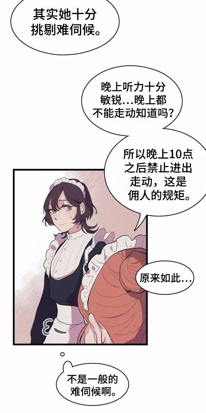第1章：高级食材