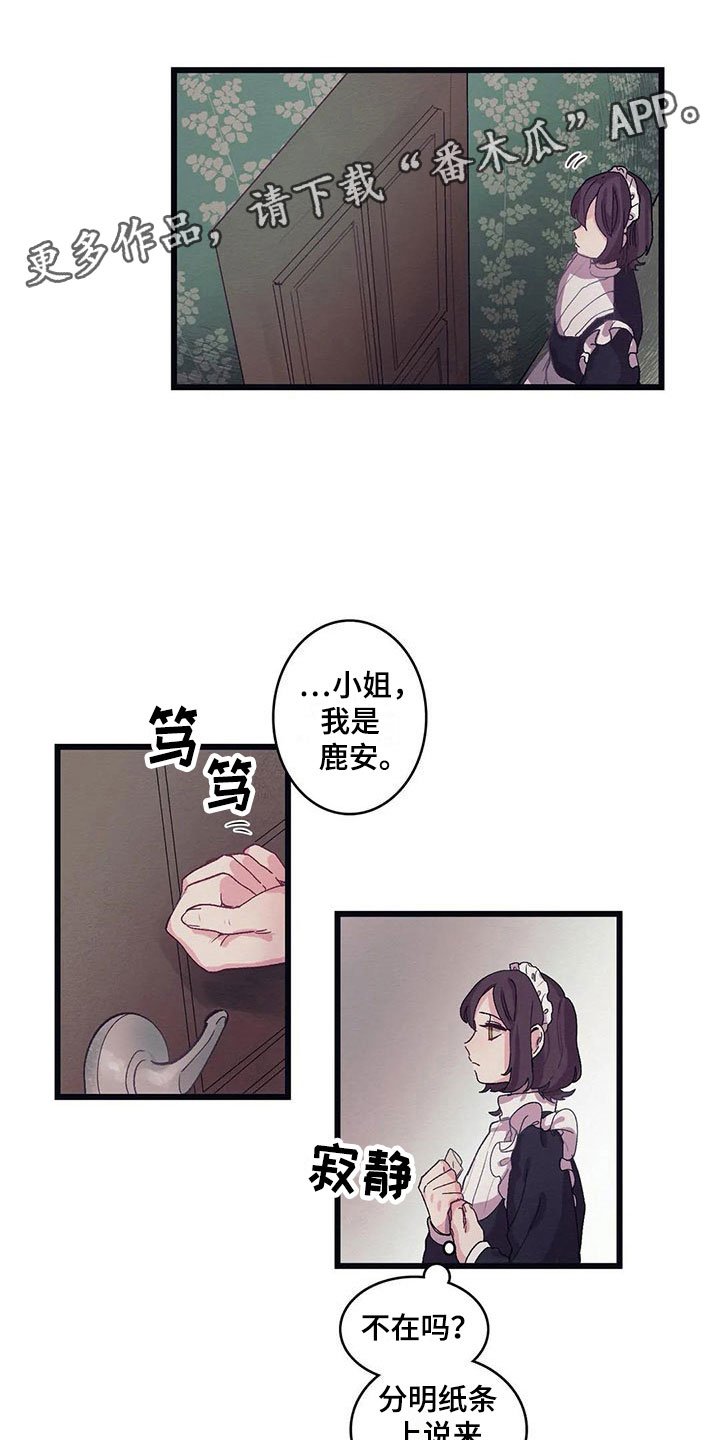 第11章：气味