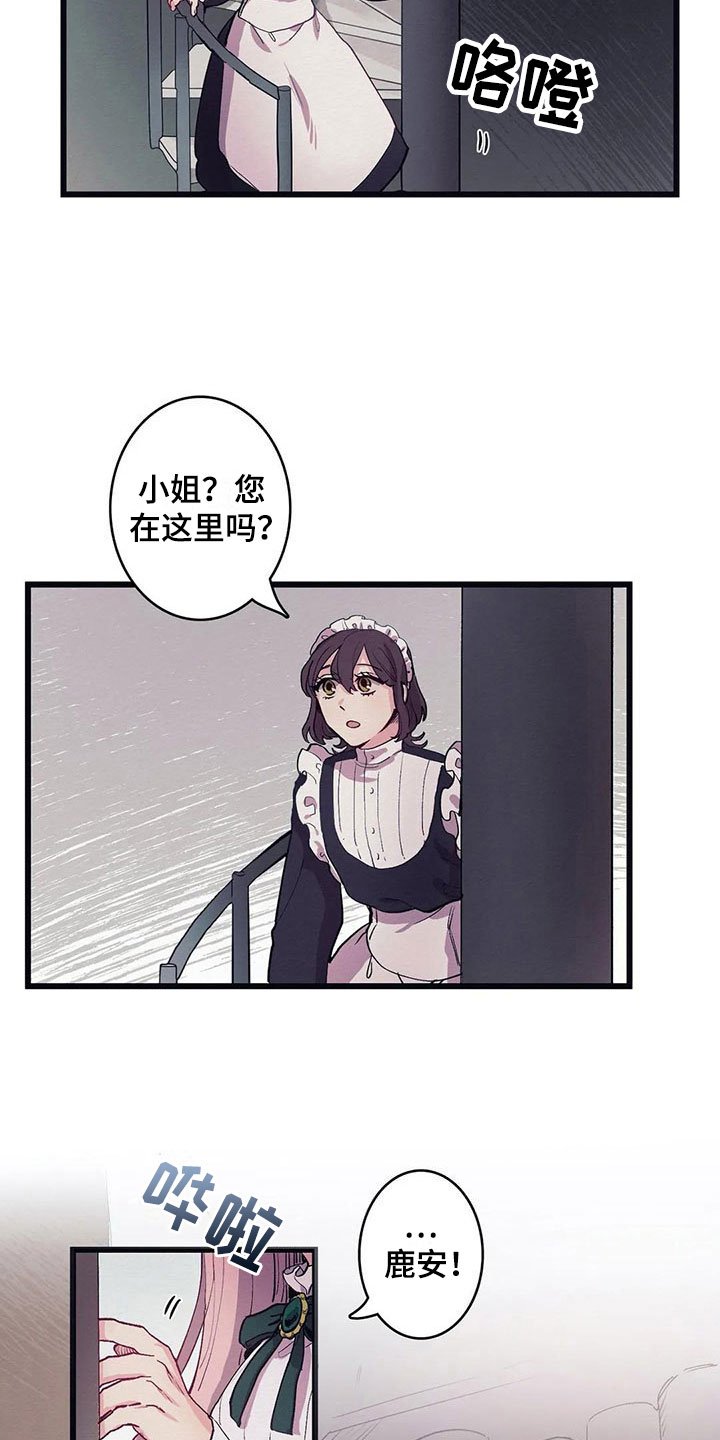 第11章：气味