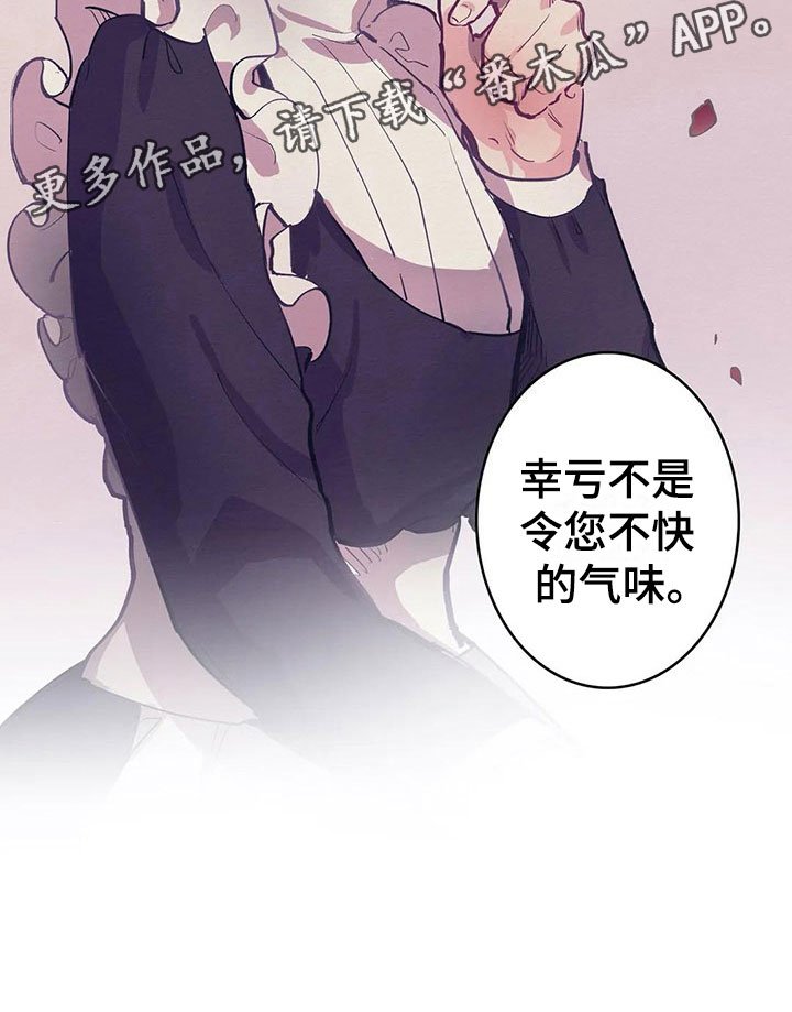 第11章：气味